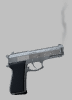 pistol_med_gry.gif (5453 octets)