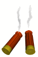shells_med_wte.gif (6687 octets)