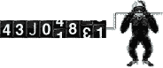 counter3.gif (41389 octets)