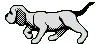 dog1.gif (3047 octets)