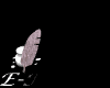 maile8.gif (5699 octets)
