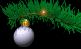 branchBLK.gif (16861 octets)