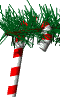 caneWHT.gif (9199 octets)